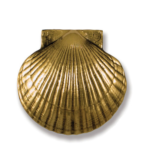 Doorware.com Polished Brass Sea Scallop Door Knocker, Michael Healy MH1071