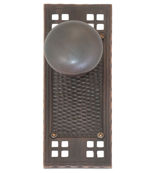 Doorware.com Arts and Crafts Plate with Netropol Knob, Brass Accents D05-K533-NET