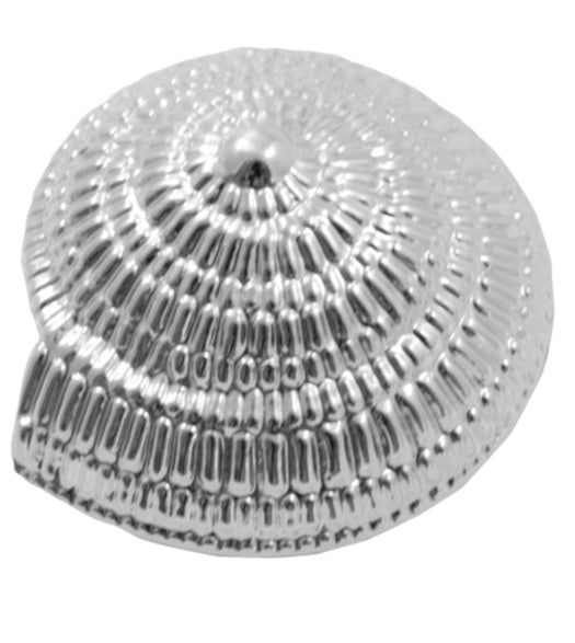 Swirled Seashell Cabinet Knob, Laurey 565
