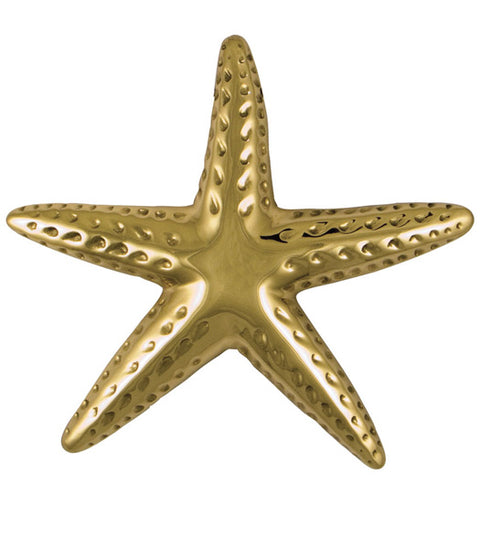 Doorware.com Large Polished Brass Starfish Door Knocker, Michael Healy MH1061