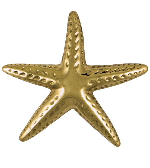 Doorware.com Large Polished Brass Starfish Door Knocker, Michael Healy MH1061