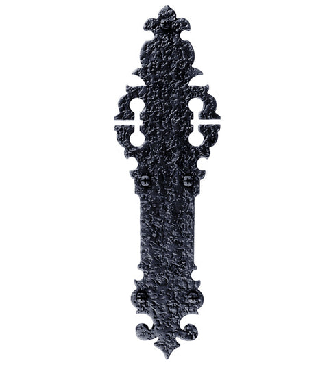 Doorware.com Rough Iron 12 Inch Warwick Push Plate, Acorn WNCBP