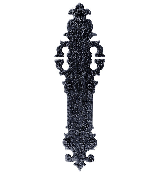 Doorware.com Rough Iron 12 Inch Warwick Push Plate, Acorn WNCBP